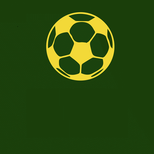 DEPORTE PROFESIONAL
